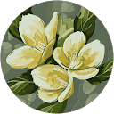 khadeeja shabeer profile picture